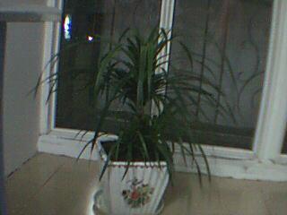 桂林新闻爆料桂林论坛,桂林新闻爆料背后的故事